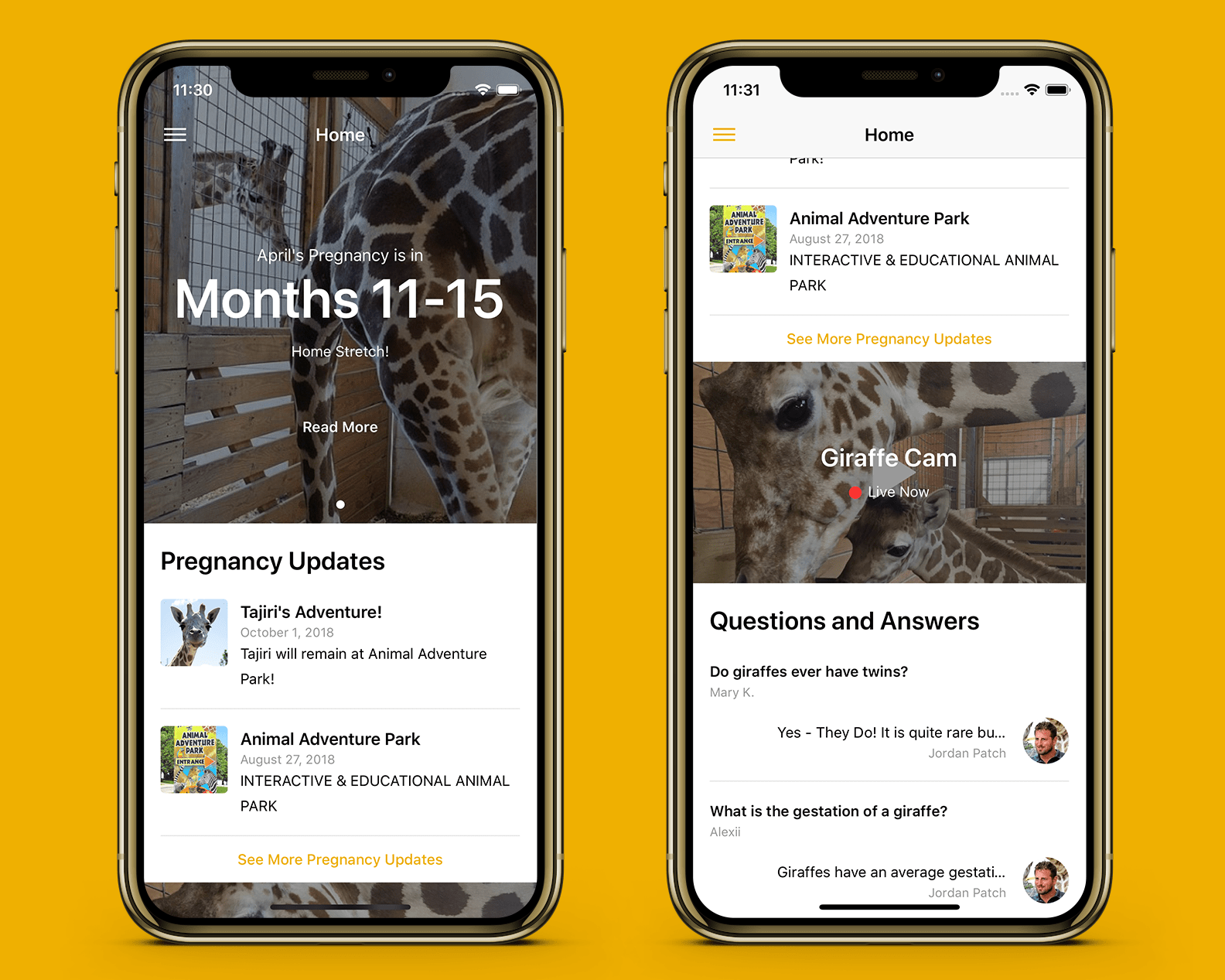 Home page and hero image (left), home page, scrolled (right)